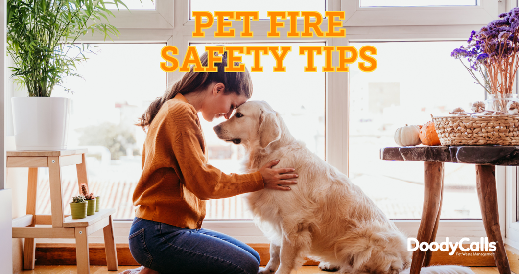 Woman and dog cuddling on a couch. Titled Pet Fire Safety Tips